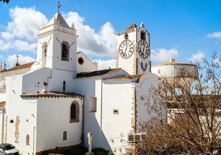 Excursion d'une journée à l'Est de l'Algarve : Faro, Olhão et Tavira - Au départ de Faro et alentours