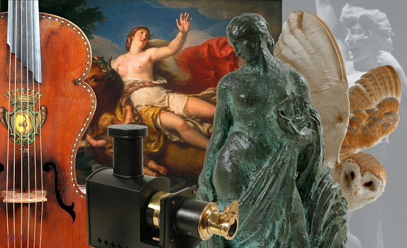 Le musée Bernard d'Agesci : un musée trois en un à Niort