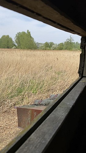 Marais de Bonnance