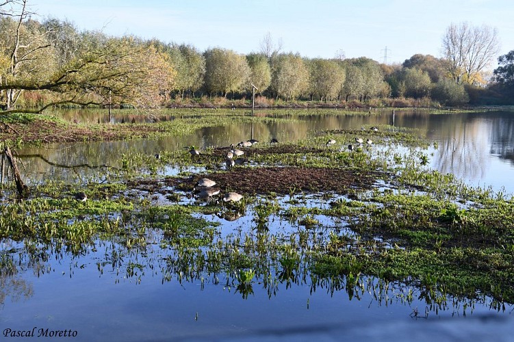 Marais de Bonnance