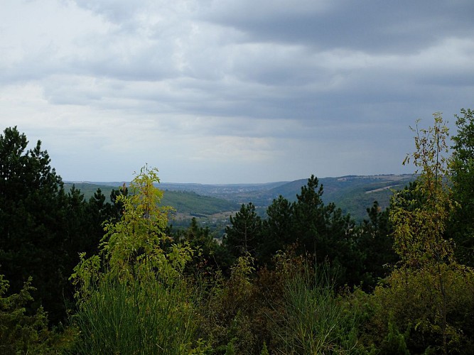 Point de vue sur Villefranche et la vallée de l'Aveyron