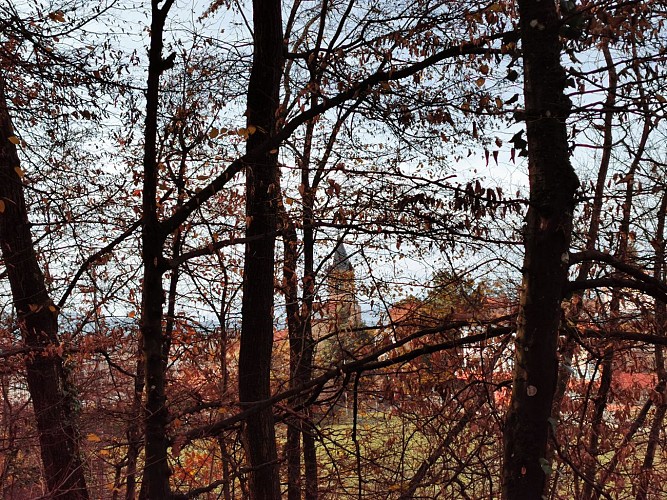 Vue sur le clocher de l'église de Limonest à travers les arbres