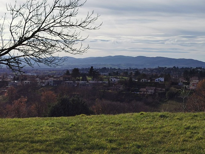 Vue sur Limonest