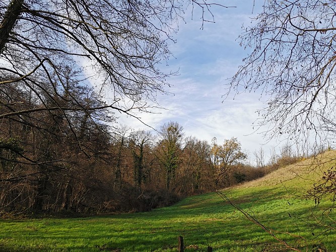 Point de vue aux Balmones