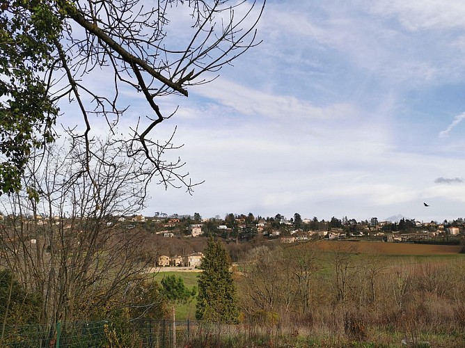 Vue sur le Château Saint-André-du-Coing