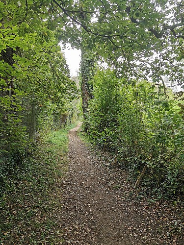 Le sentier botanique du vallon de Rochacardon