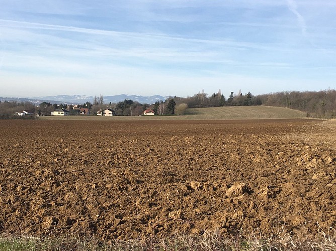 Vue sur les monts du Lyonnais