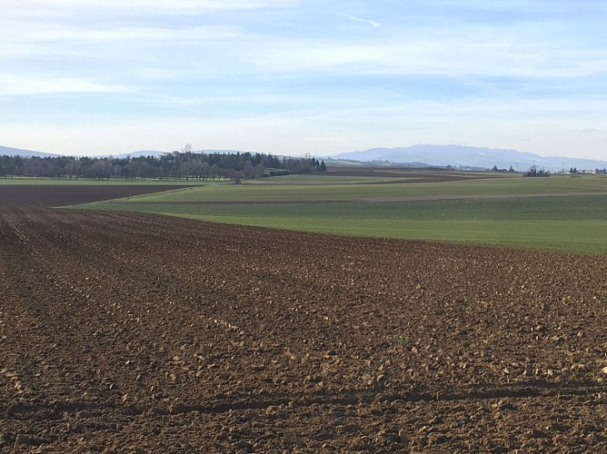 Vue sur le Pilat