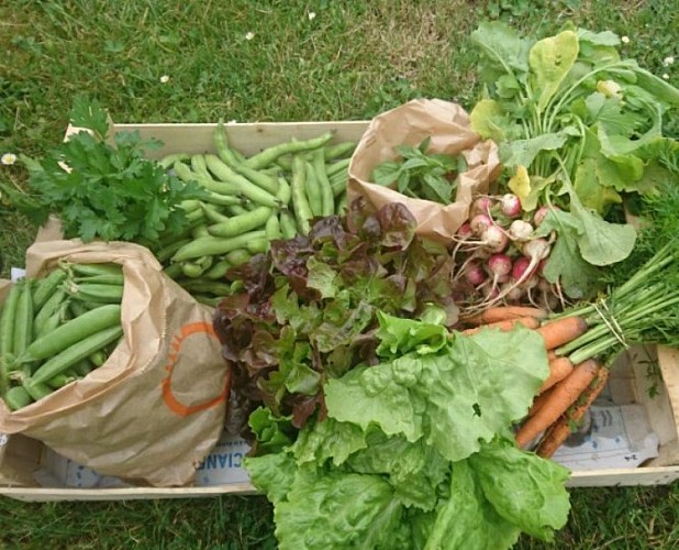 Les Jardins du Grand Pâ2