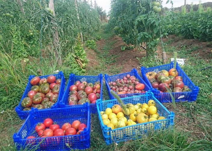 Les Jardins du Grand Pâ