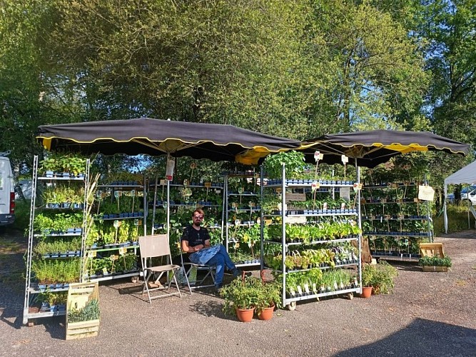 Plantzone stand marché