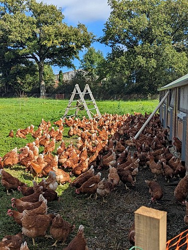 557746887_1229533289216815_4414533674739516802_n