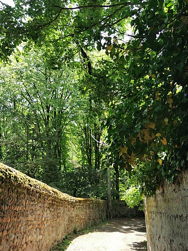 Chemin de Venières