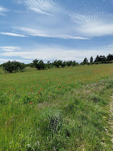 Ferme et vergers, chemin du Pavillon