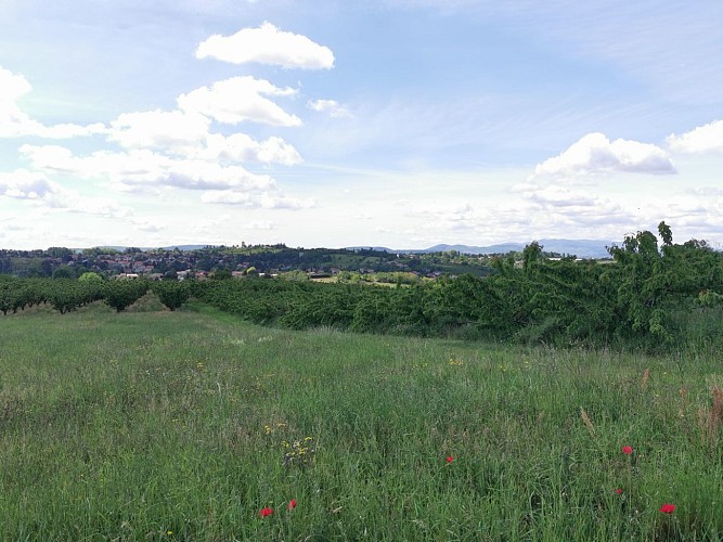 Ferme et vergers, chemin du Pavillon