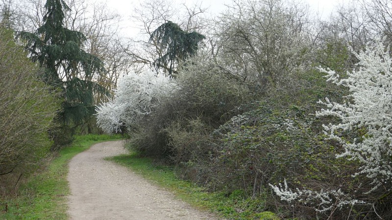 Sentier de Feuilly