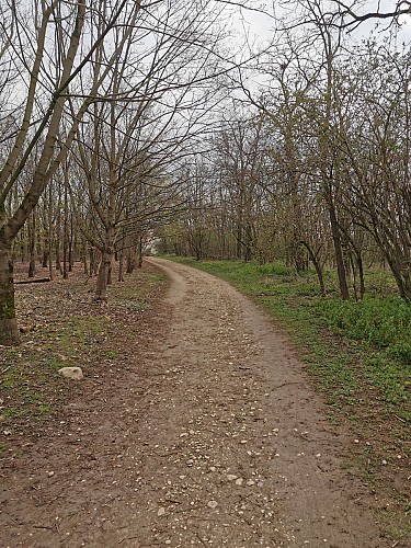 Sentier de Feuilly