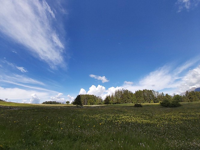 Le plateau de Libouze