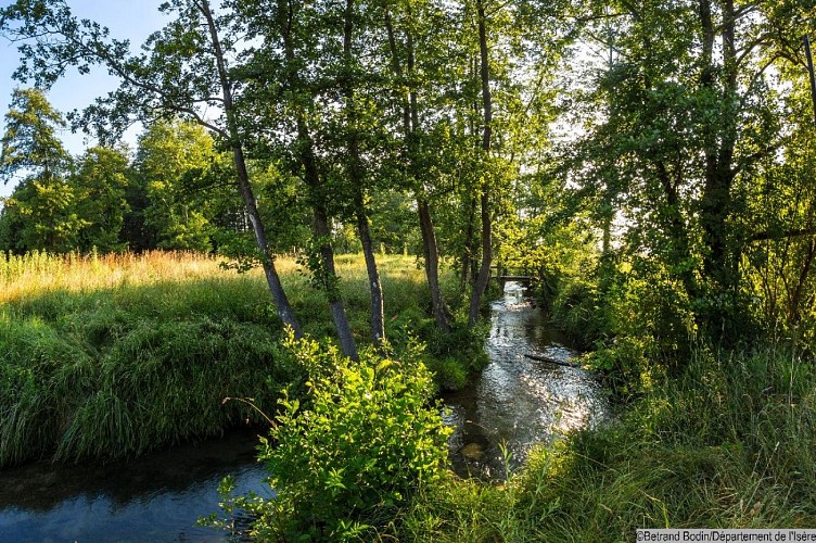 Espace Naturel Sensible des prairies inondables de Pont-Évêque