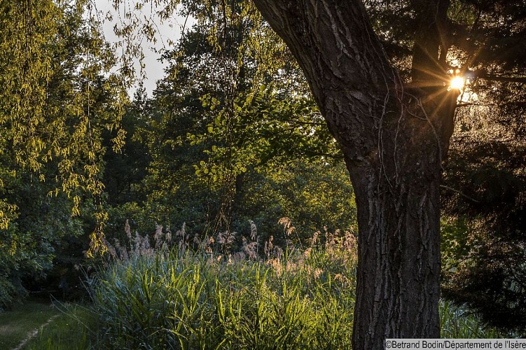Espace Naturel Sensible des prairies inondables de Pont-Évêque