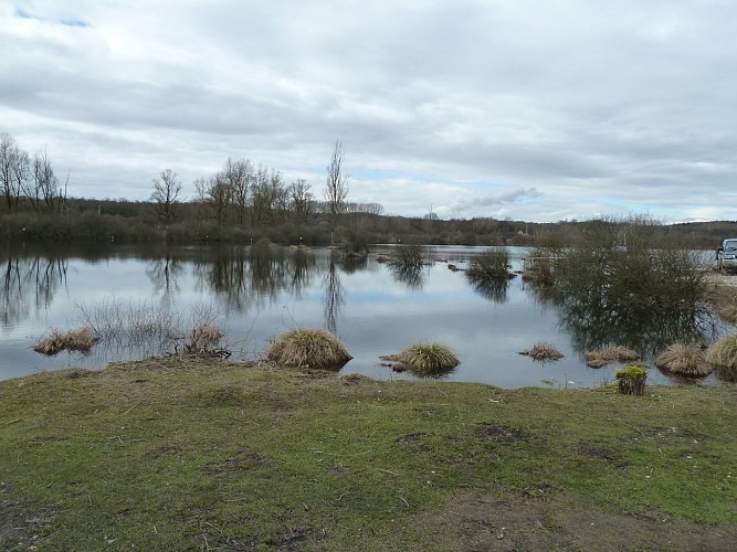 Pêche à l'étang du Marais de Lancin