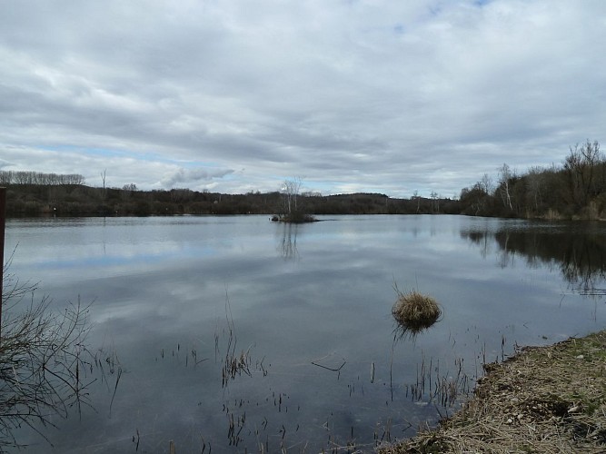 Pêche à l'étang du Marais de Lancin