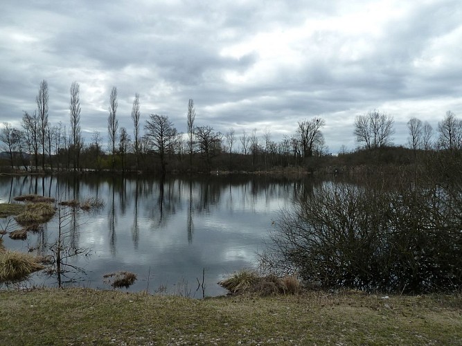 Pêche à l'étang du Marais de Lancin