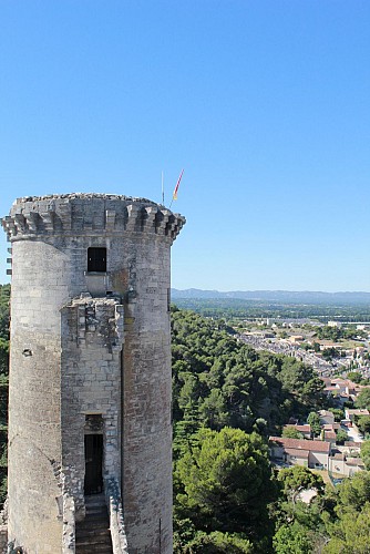 Le Château Féodal des Comtes de Provence