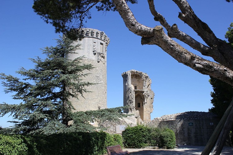 Le Château Féodal des Comtes de Provence