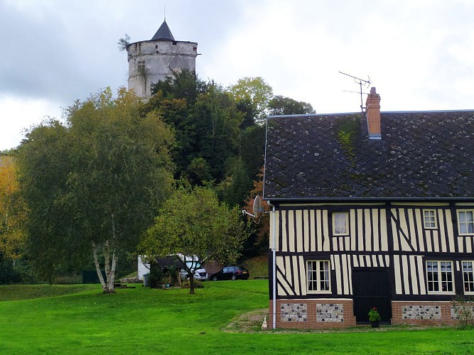 Vue sur la tour de l'Aigle - château de Tancarville