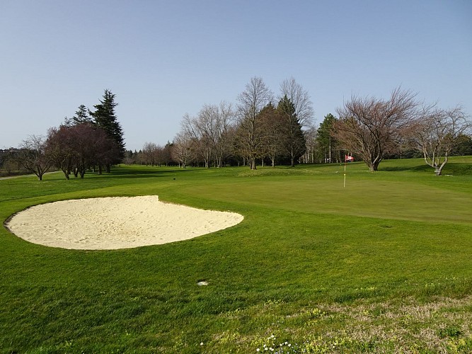 Golf