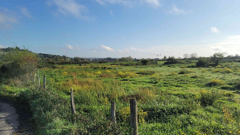 Vue des landes de Montagny
