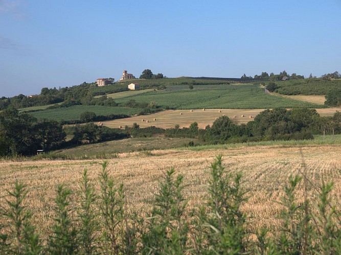 Gîte du Bistinclin Fruité,