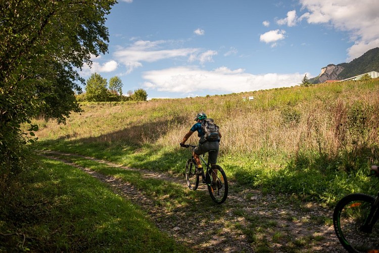 Gourmet escape on bike