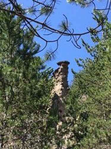 Demoiselles Coiffées