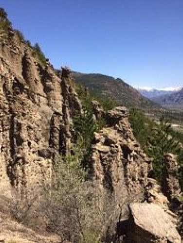 Demoiselles Coiffées