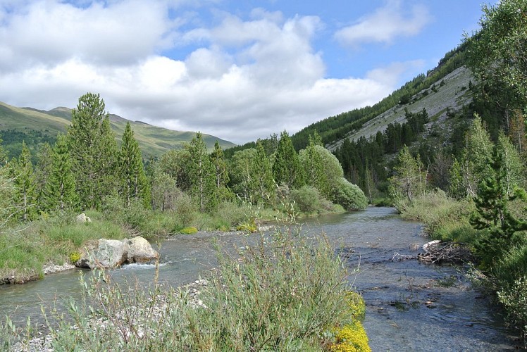 Marais du Bourget