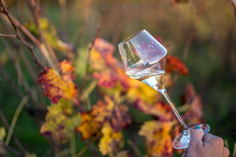 Journée oenologique avec Le Secret Des Papilles