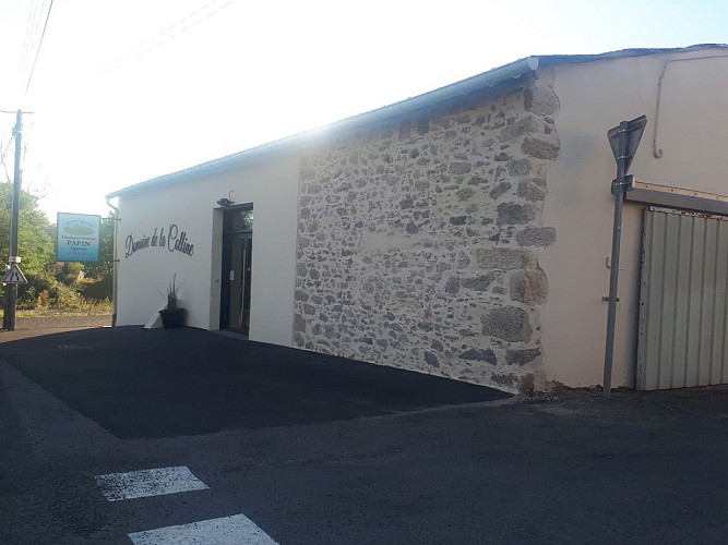 Domaine de la Colline - Vignoble Papin