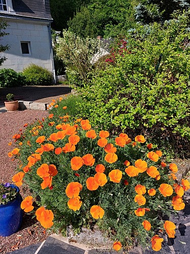 Gite Le Clos Eugénie