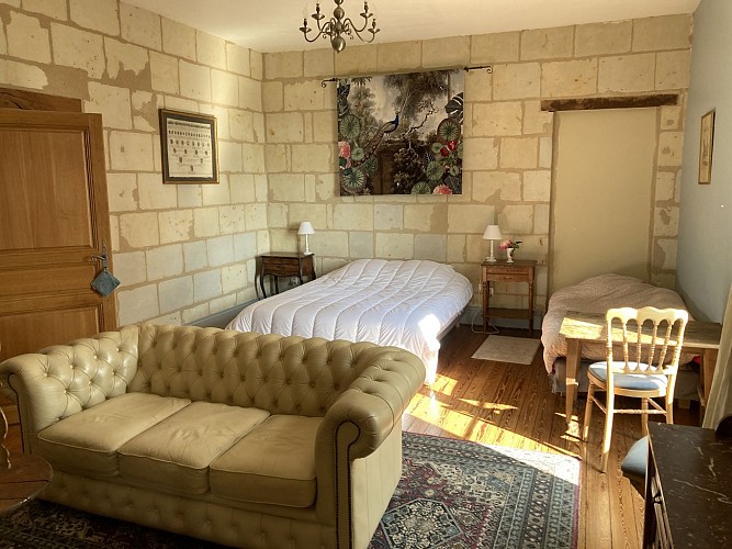 Gite Vue remarquable sur la Loire – Château de la Boussinière