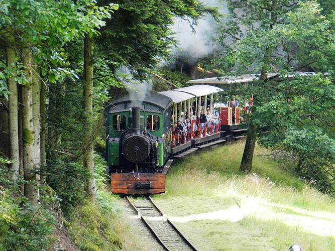 Chemin de fer forestier : Locomotive à vapeur dans la forêt