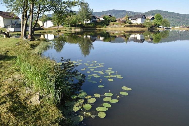 Fishing at the pond Etang de Chaume