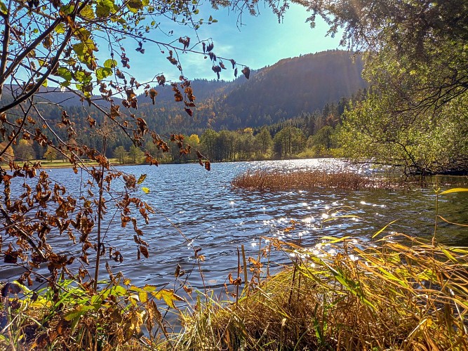 Vosges fishing guide - jonathan vaxelaire