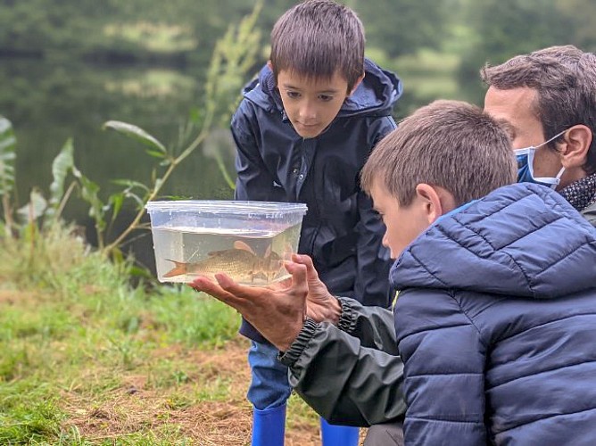 Vosges fishing guide - jonathan vaxelaire