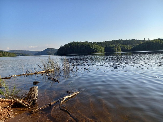 Guide pêche Vosges - jonathan vaxelaire