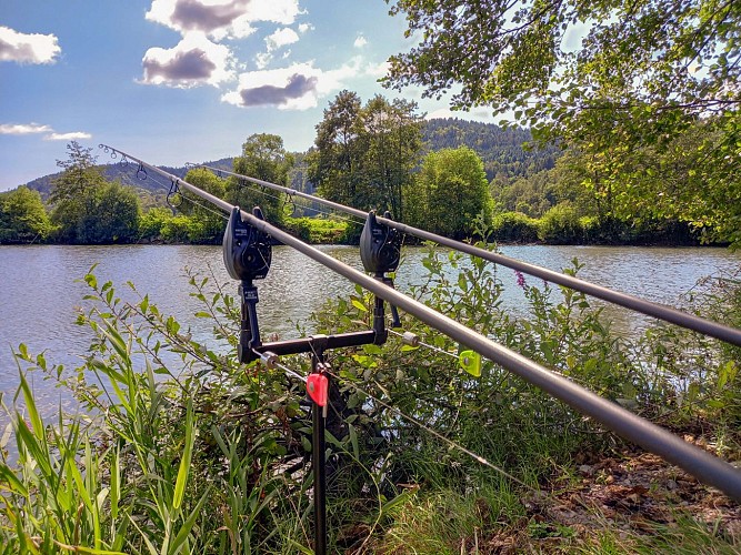 Guide pêche Vosges - jonathan vaxelaire