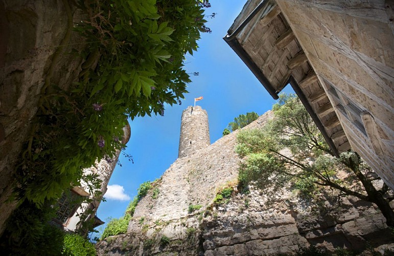 Château de Turenne (Turenne)