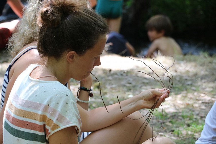 animation dans les bois