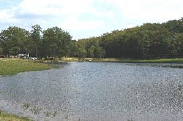 Camping municipal des Chanaux